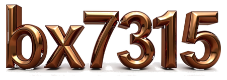 bx7315 logo